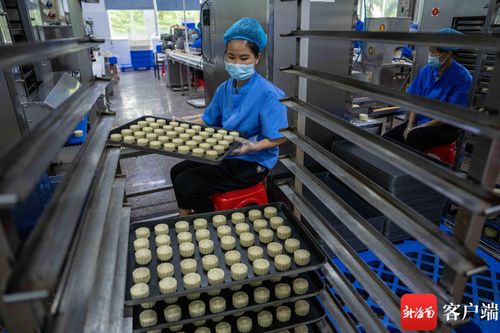 中秋月餅飄香忙 ?？谑称窂S開足馬力備戰佳節